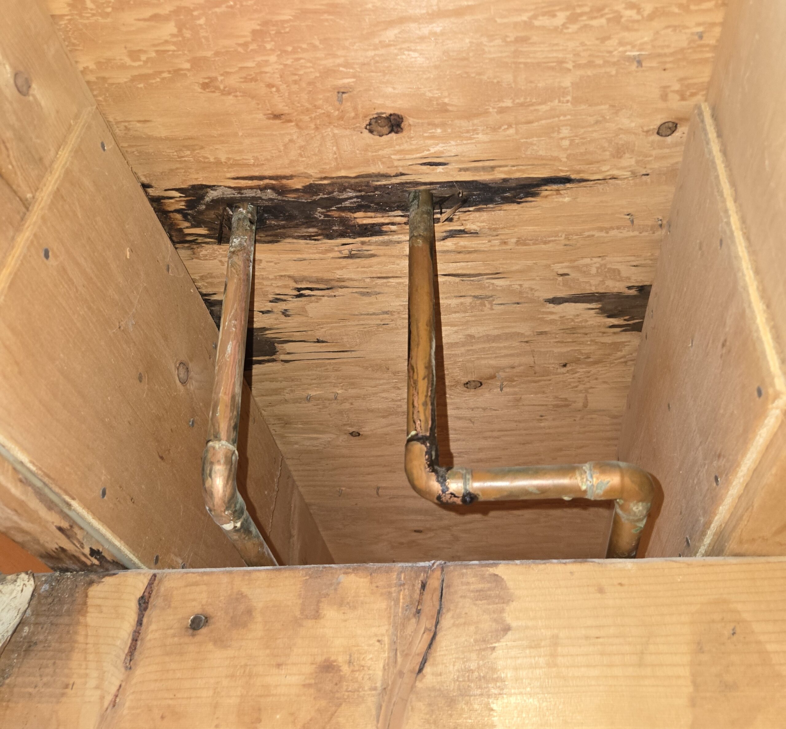 Copper pipes inspection - Copy