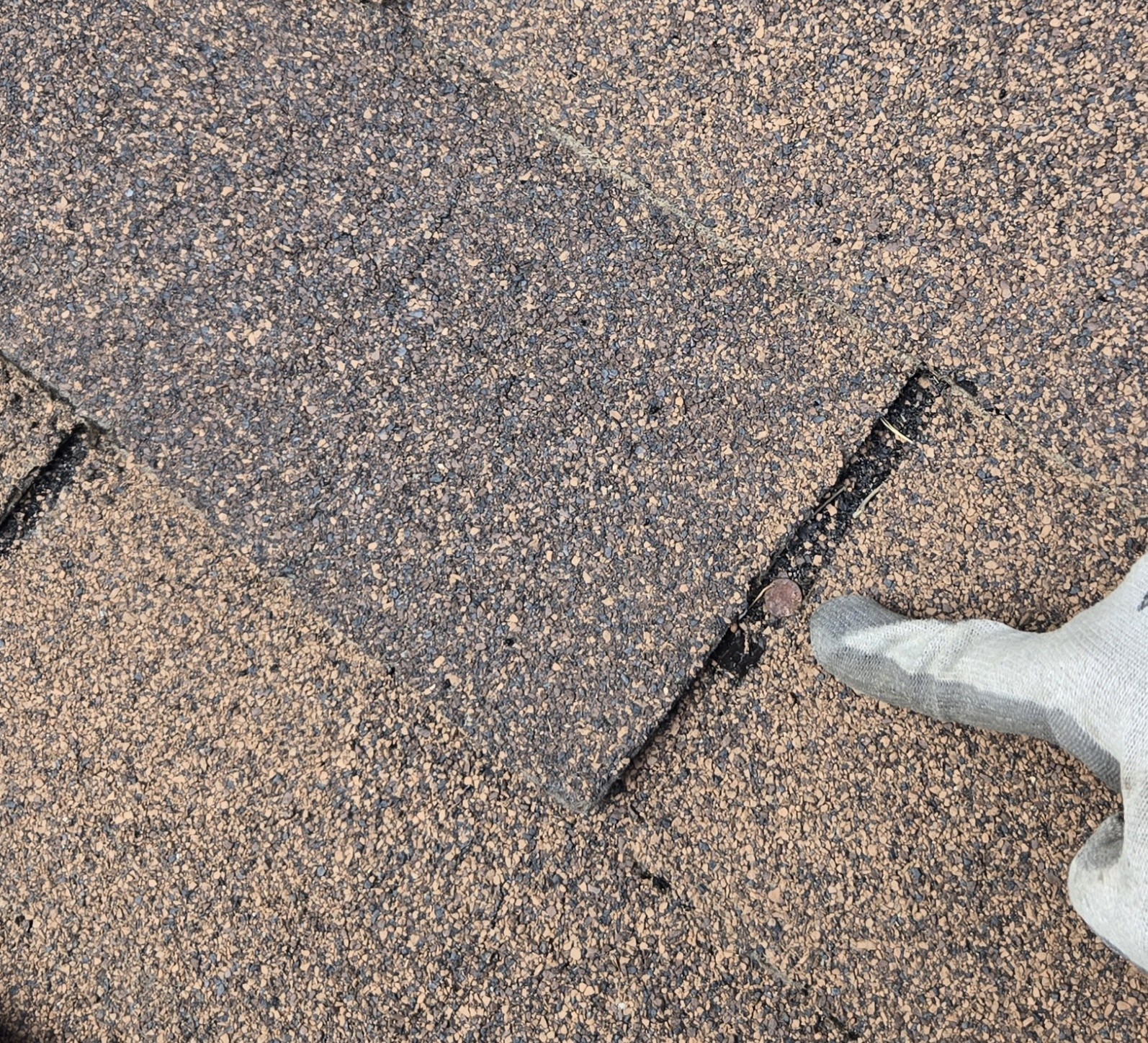 Shingles inspection - Copy