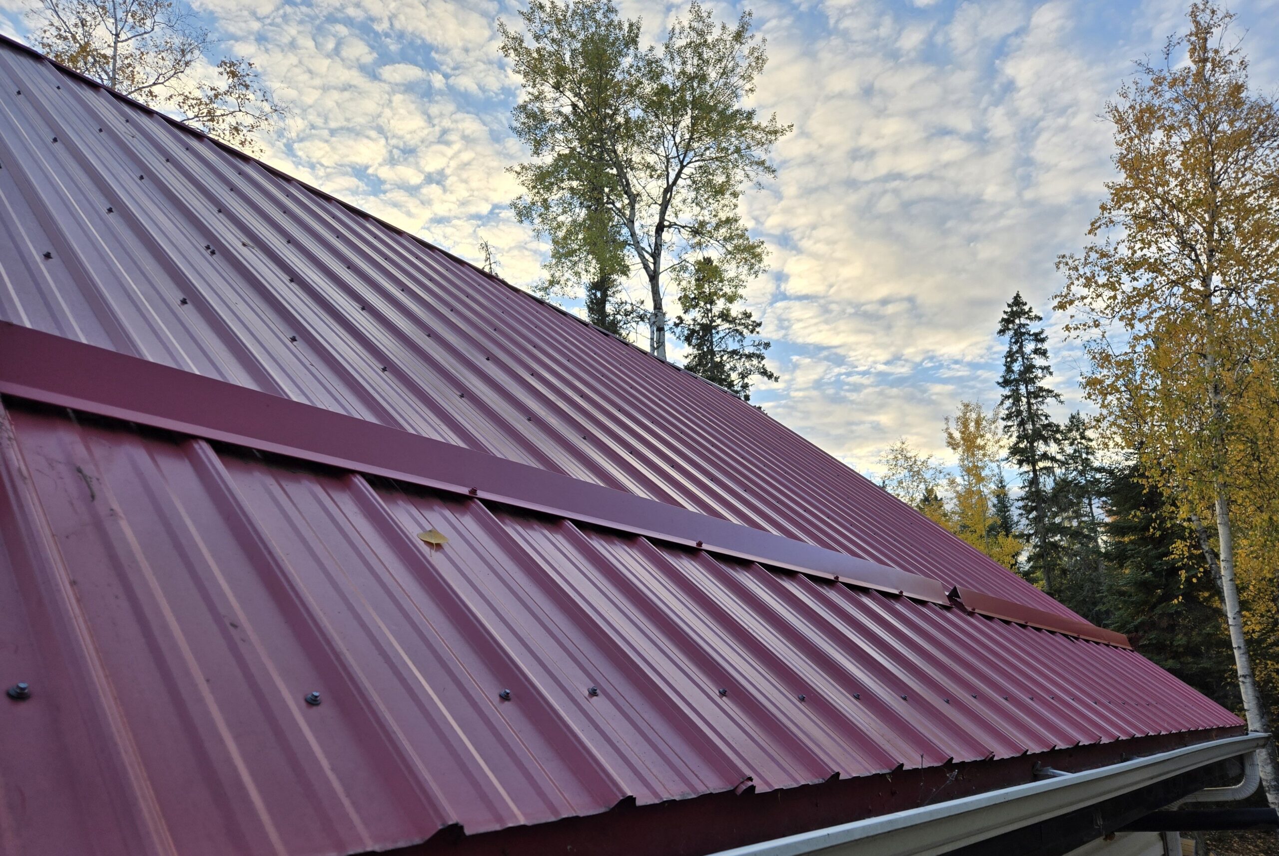 Tin roof inspection - Copy