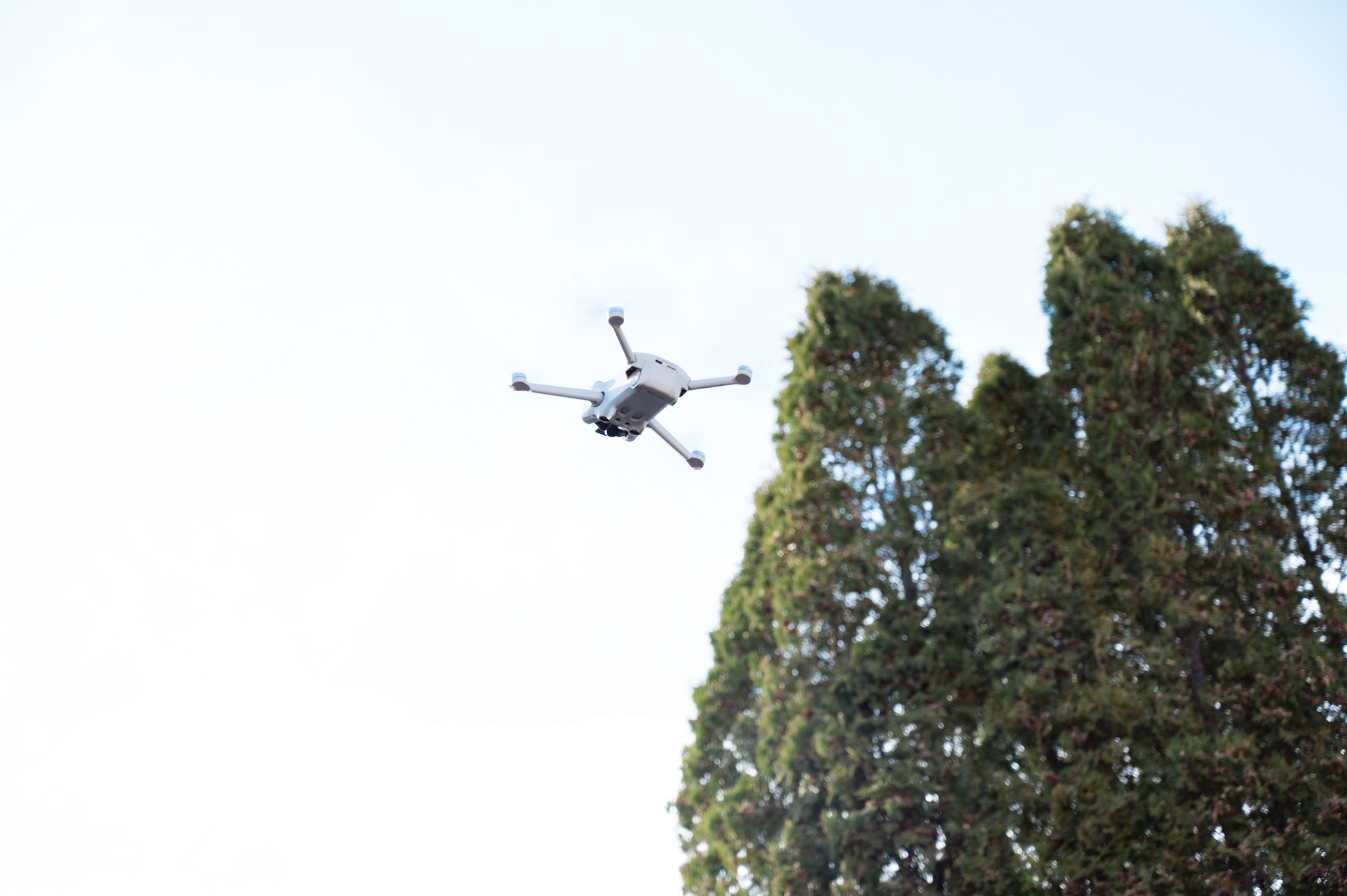 Drone